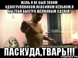 Жаль я не был твоим одногруппником,Максимом Кёльном.Я бы тебя быстро шёлковым сделал! ПАСКУДА,ТВАРЬ!!!, Мем Паскуда тварь