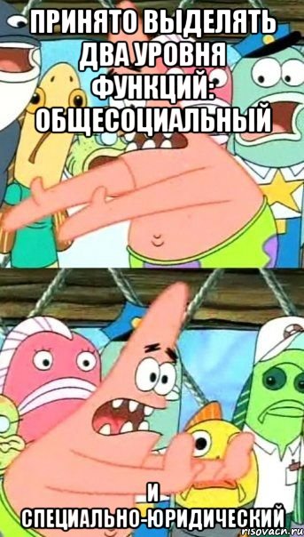 ПРинято выделять два уровня функций: общесоциальный и специально-юридический, Мем Патрик (берешь и делаешь)