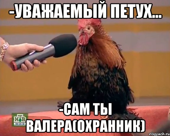 -Уважаемый Петух... -Сам ты Валера(Охранник)