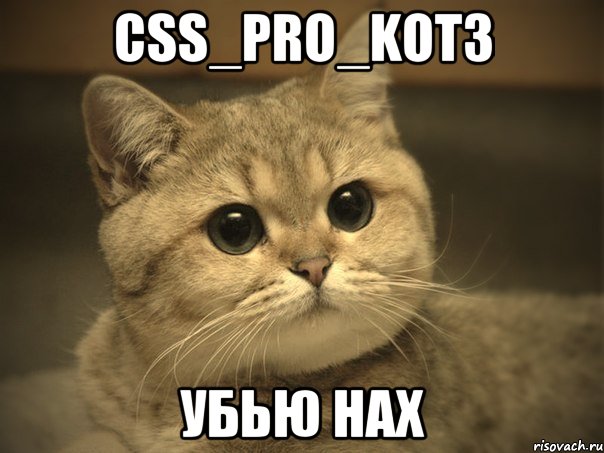 CsS_PrO_kot3 УБЬЮ НАХ, Мем Пидрила ебаная котик