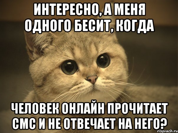 Интересно, а меня одного бесит, когда человек онлайн прочитает смс и не отвечает на него?, Мем Пидрила ебаная котик