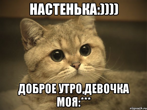 Настенька:)))) Доброе утро,Девочка моя:***, Мем Пидрила ебаная котик