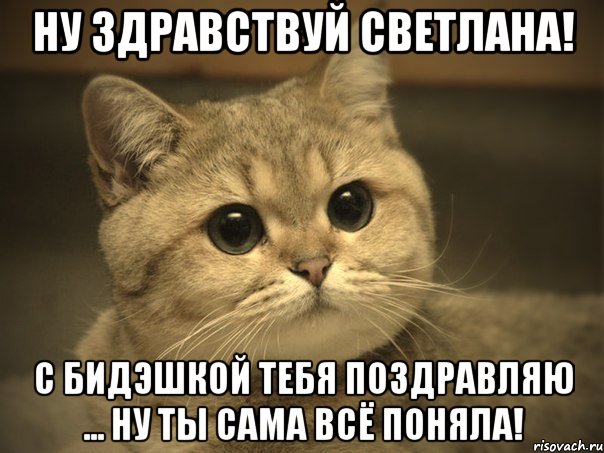 НУ ЗДРАВСТВУЙ СВЕТЛАНА! С БИДЭШКОЙ ТЕБЯ ПОЗДРАВЛЯЮ ... НУ ТЫ САМА ВСЁ ПОНЯЛА!, Мем Пидрила ебаная котик