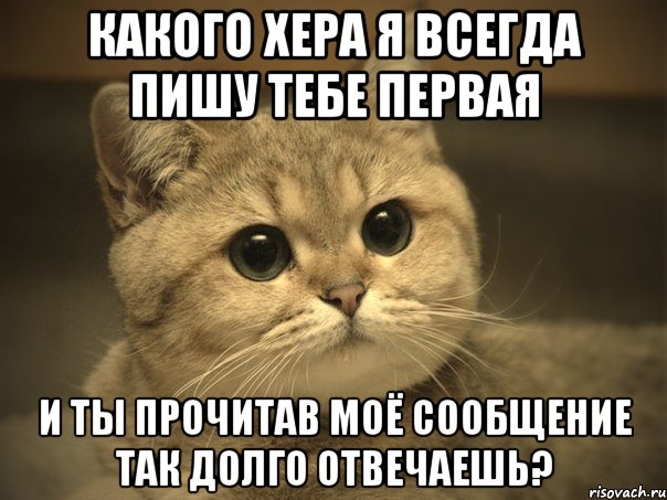 Какого хера я всегда пишу тебе первая И ты прочитав моё сообщение так долго отвечаешь?, Мем Пидрила ебаная котик