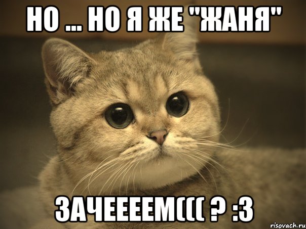 Но ... но я же "жаня" Зачеееем((( ? :3, Мем Пидрила ебаная котик