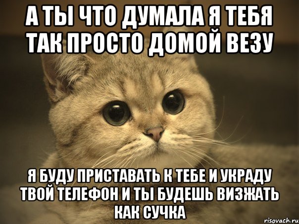 а ты что думала я тебя так просто домой везу я буду приставать к тебе и украду твой телефон и ты будешь визжать как сучка, Мем Пидрила ебаная котик