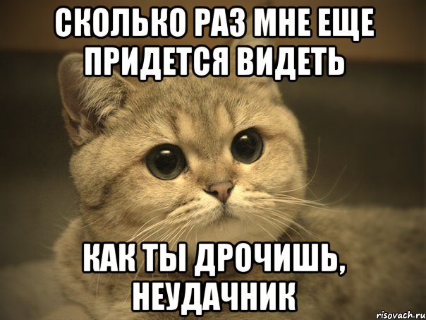 сколько раз мне еще придется видеть как ты дрочишь, неудачник, Мем Пидрила ебаная котик