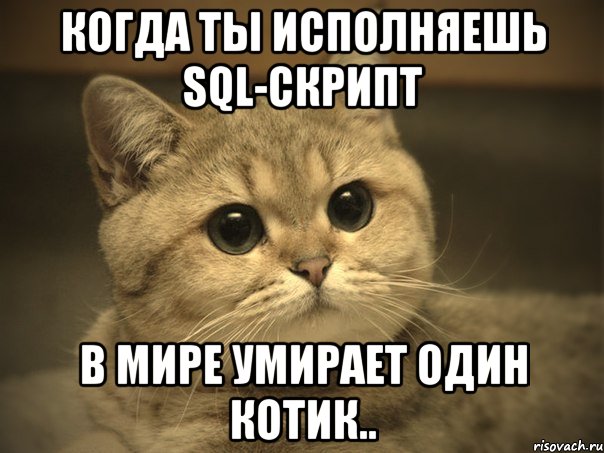 Когда ты исполняешь SQL-скрипт В мире умирает один котик.., Мем Пидрила ебаная котик