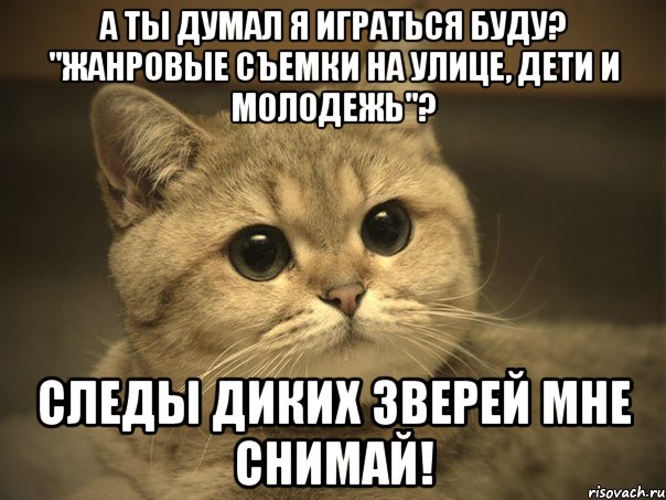 А ты думал я играться буду? "Жанровые съемки на улице, дети и молодежь"? Следы диких зверей мне снимай!, Мем Пидрила ебаная котик