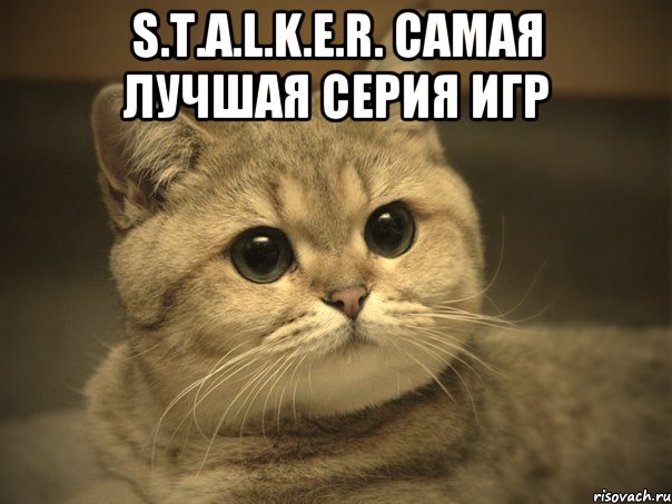 S.T.A.L.K.E.R. Самая лучшая серия игр , Мем Пидрила ебаная котик