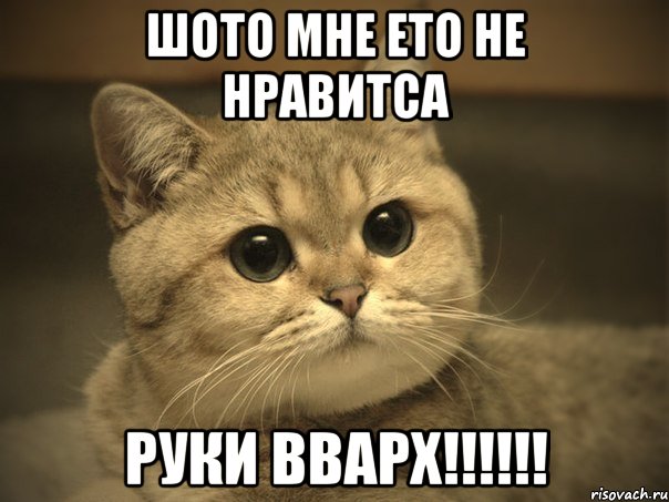 Шото мне ето не нравитса РУКИ ВВАРХ!!!!!!, Мем Пидрила ебаная котик