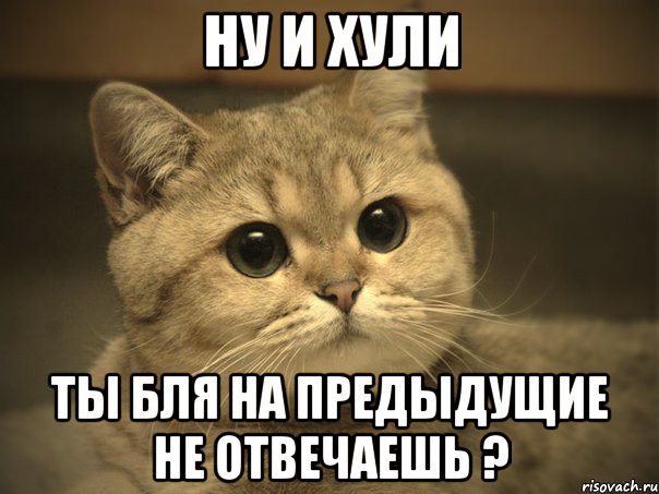 Ну и хули Ты бля на предыдущие не отвечаешь ?, Мем Пидрила ебаная котик