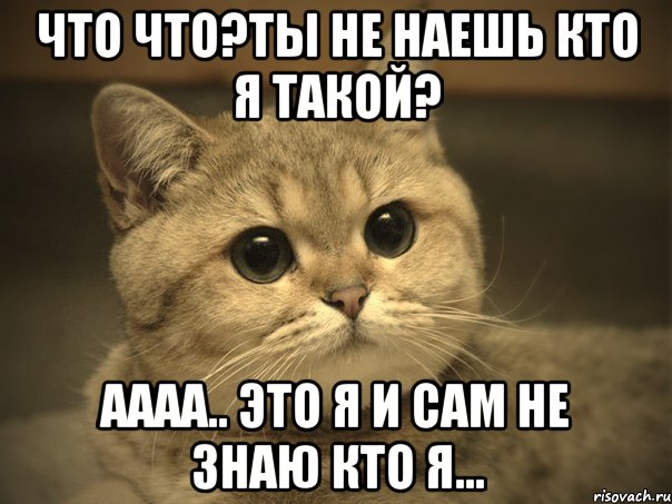 что что?ты не наешь кто я такой? аааа.. это я и сам не знаю кто я..., Мем Пидрила ебаная котик