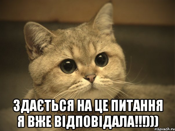  ЗДАЄТЬСЯ НА ЦЕ ПИТАННЯ Я ВЖЕ ВІДПОВІДАЛА!!!))), Мем Пидрила ебаная котик