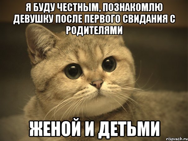 Я буду честным, познакомлю девушку после первого свидания с родителями женой и детьми, Мем Пидрила ебаная котик