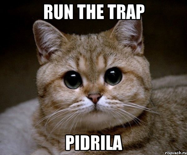 RUN THE TRAP PIDRILA, Мем Пидрила Ебаная