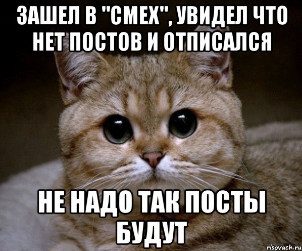 ЗАШЕЛ В "СМЕХ", УВИДЕЛ ЧТО НЕТ ПОСТОВ И ОТПИСАЛСЯ НЕ НАДО ТАК ПОСТЫ БУДУТ, Мем Пидрила Ебаная