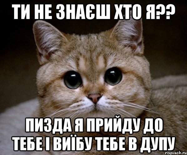 ТИ не знаєш хто я?? Пизда я прийду до тебе і виїбу тебе в дупу, Мем Пидрила Ебаная