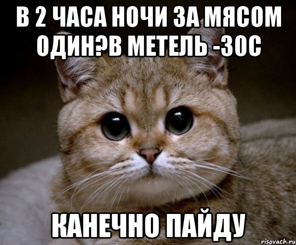 в 2 часа ночи за мясом один?в метель -30с канечно пайду, Мем Пидрила Ебаная