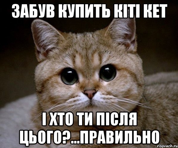 забув купить кіті кет і хто ти після цього?...правильно, Мем Пидрила Ебаная