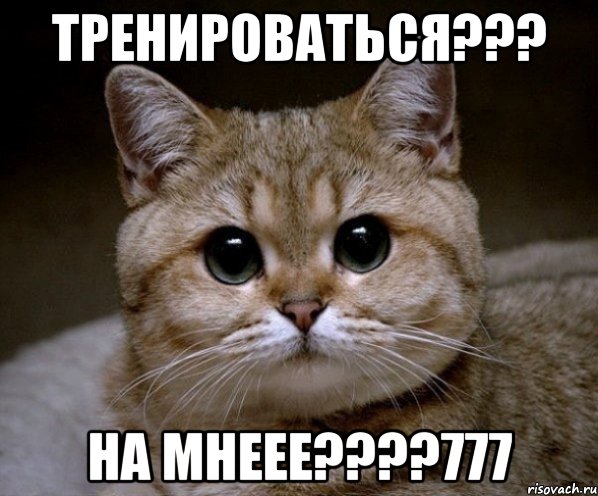 Тренироваться??? НА МНЕЕЕ????777, Мем Пидрила Ебаная