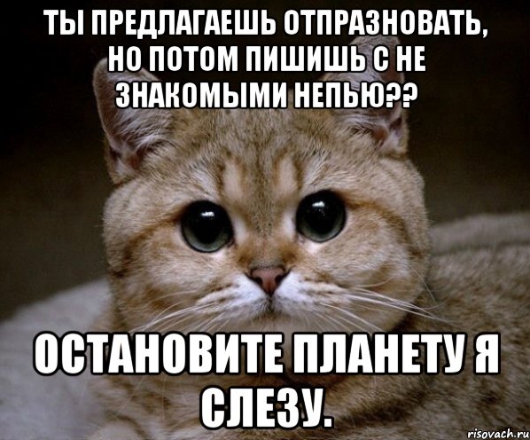 Ты предлагаешь отпразновать, но потом пишишь с не знакомыми непью?? Остановите планету я слезу., Мем Пидрила Ебаная