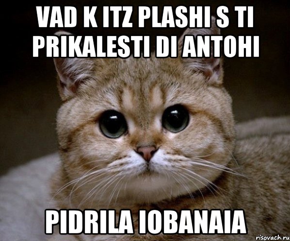 vad k itz plashi s ti prikalesti di antohi pidrila iobanaia, Мем Пидрила Ебаная