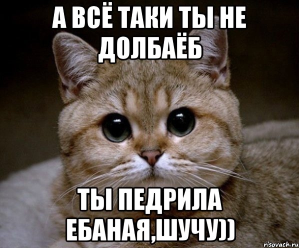 а ВСЁ ТАКИ ТЫ НЕ ДОЛБАЁБ тЫ ПЕДРИЛА ЕБАНАЯ,ШУЧУ)), Мем Пидрила Ебаная