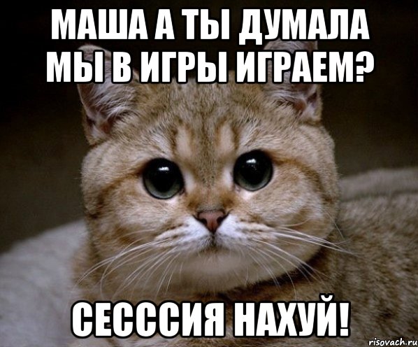 Маша а ты думала мы в игры играем? СЕСССИЯ НАХУЙ!, Мем Пидрила Ебаная