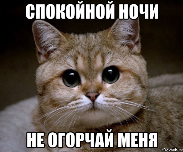 спокойной ночи не огорчай меня, Мем Пидрила Ебаная
