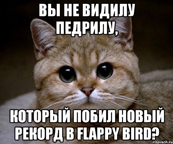 Вы не видилу педрилу, который побил новый рекорд в flappy bird?, Мем Пидрила Ебаная