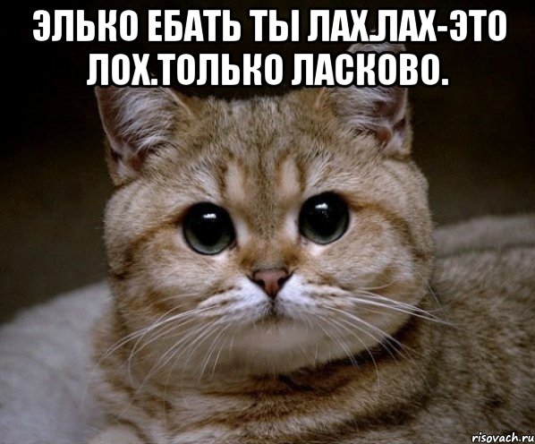 Элько ебать ты лах.Лах-это лох.Только ласково. , Мем Пидрила Ебаная