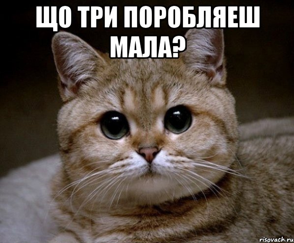 що три поробляеш мала? , Мем Пидрила Ебаная