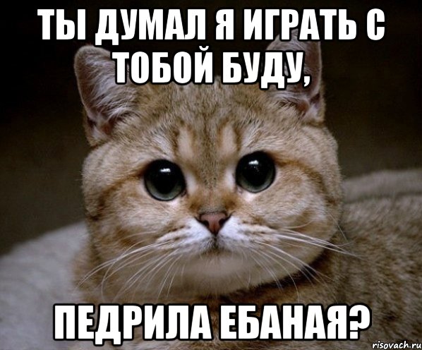 Ты думал я играть с тобой буду, педрила ебаная?, Мем Пидрила Ебаная