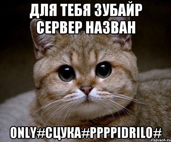 для тебя Зубайр сервер назван Only#Сцука#PPPPidrilo#, Мем Пидрила Ебаная