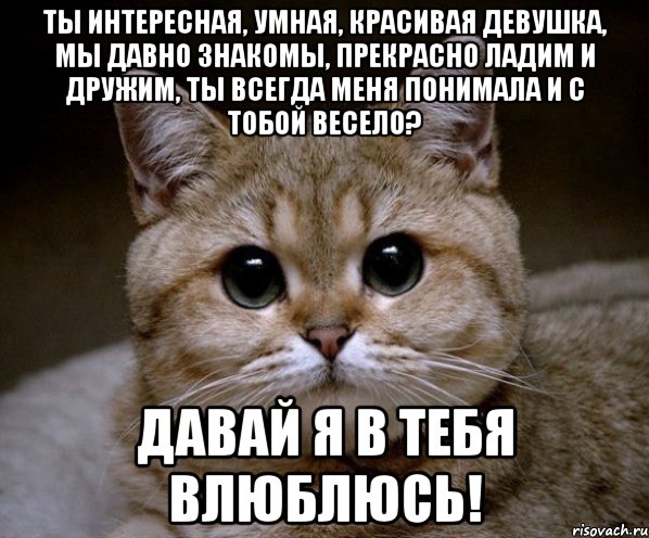 Ты интересная, умная, красивая девушка, мы давно знакомы, прекрасно ладим и дружим, ты всегда меня понимала и с тобой весело? давай я в тебя влюблюсь!, Мем Пидрила Ебаная