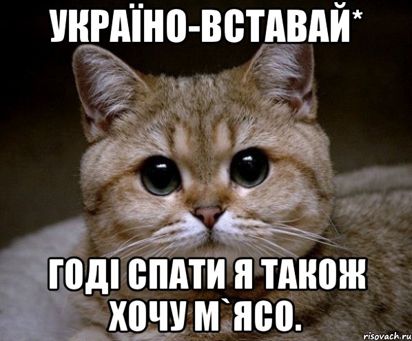 Україно-вставай* Годі спати я також хочу м`ясо., Мем Пидрила Ебаная