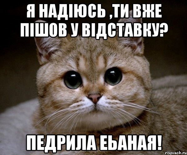 Я надіюсь ,ти вже пішов у відставку? Педрила Еьаная!, Мем Пидрила Ебаная