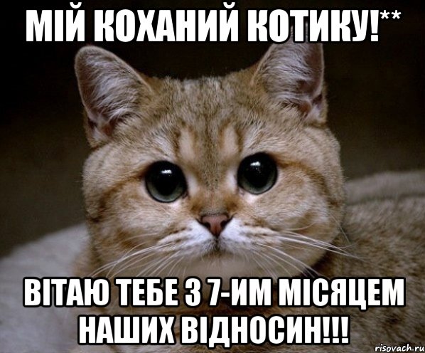 МІЙ КОХАНИЙ КОТИКУ!** ВІТАЮ ТЕБЕ З 7-ИМ МІСЯЦЕМ НАШИХ ВІДНОСИН!!!, Мем Пидрила Ебаная