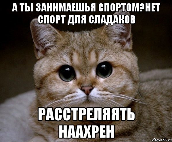 А ты занимаешья спортом?Нет спорт для сладаков Расстреляять наахрен, Мем Пидрила Ебаная