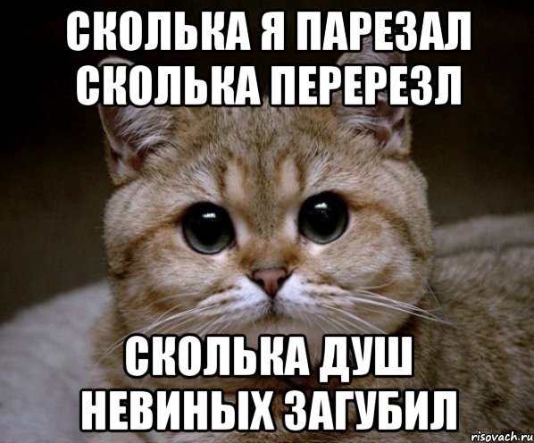 сколька я парезал сколька перерезл сколька душ невиных загубил, Мем Пидрила Ебаная