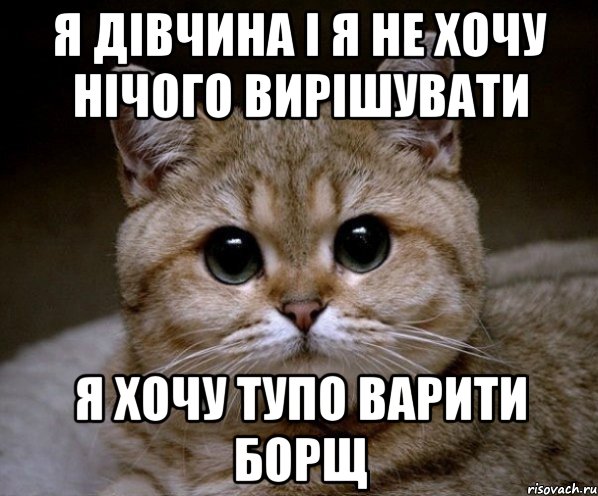 я дівчина і я не хочу нічого вирішувати я хочу тупо варити борщ, Мем Пидрила Ебаная