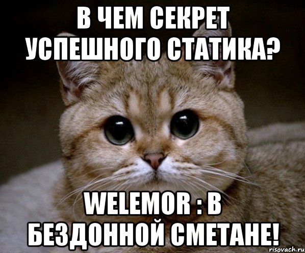 В чем секрет успешного статика? Welemor : В бездонной сметане!, Мем Пидрила Ебаная