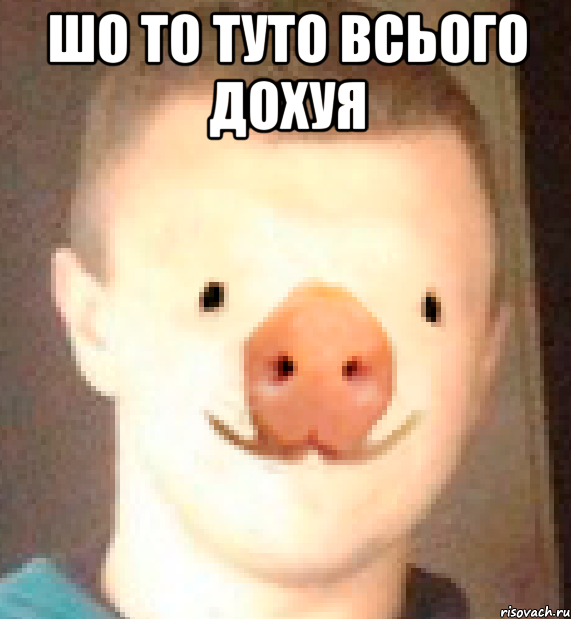 ШО ТО ТУТО ВСЬОГО ДОХУЯ 