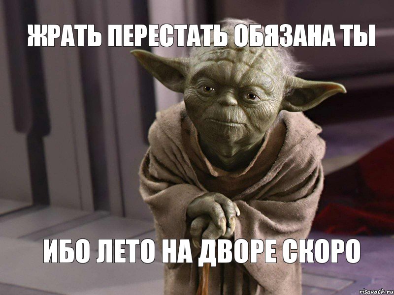 жрать перестать обязана ты ибо лето на дворе скоро