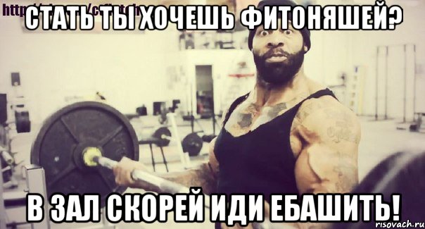 стать ты хочешь фитоняшей? в зал скорей иди ебашить!