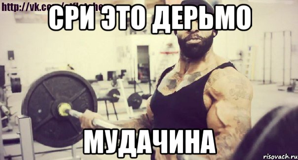 СРИ ЭТО ДЕРЬМО МУДАЧИНА