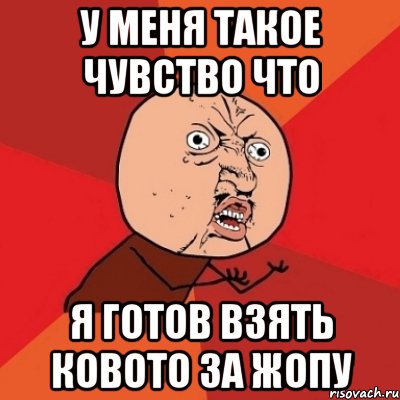 У меня такое чувство что Я готов взять ковото за жопу, Мем Почему