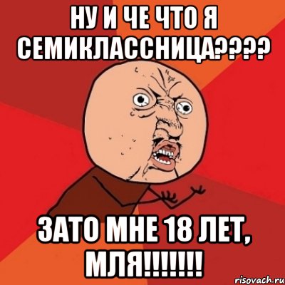 ну и че что я семиклассница???? зато мне 18 лет, мля!!!!!!!, Мем Почему