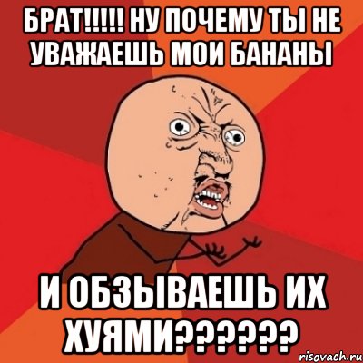 брат!!!!! Ну почему ты не уважаешь мои бананы и обзываешь их хуями??????, Мем Почему